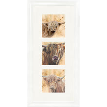 Load image into Gallery viewer, Colourful Coos
