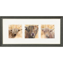 Load image into Gallery viewer, Colourful Coos