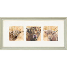 Load image into Gallery viewer, Colourful Coos