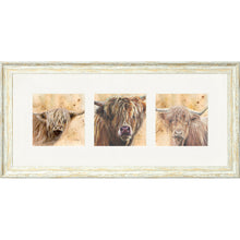Load image into Gallery viewer, Colourful Coos