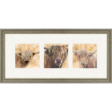 Load image into Gallery viewer, Colourful Coos