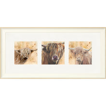 Load image into Gallery viewer, Colourful Coos