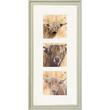 Load image into Gallery viewer, Colourful Coos
