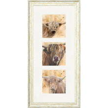 Load image into Gallery viewer, Colourful Coos