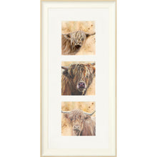 Load image into Gallery viewer, Colourful Coos
