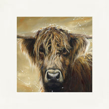 Load image into Gallery viewer, Colourful Hamish