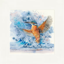 Load image into Gallery viewer, Colourful Kingfisher