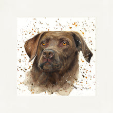 Load image into Gallery viewer, Cooper