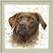 Load image into Gallery viewer, Cooper