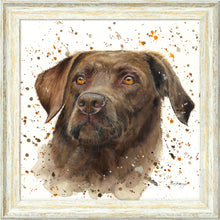 Load image into Gallery viewer, Cooper