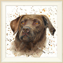 Load image into Gallery viewer, Cooper