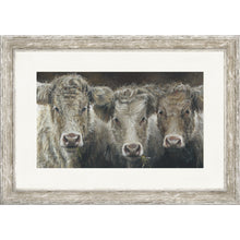 Load image into Gallery viewer, Cow Do You Do