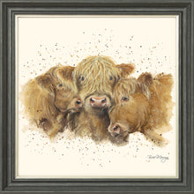 Load image into Gallery viewer, Cuddly Coos