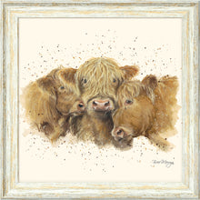 Load image into Gallery viewer, Cuddly Coos
