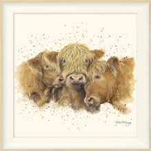 Load image into Gallery viewer, Cuddly Coos