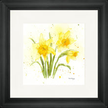 Load image into Gallery viewer, Daffodils