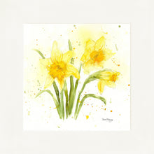 Load image into Gallery viewer, Daffodils