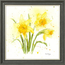 Load image into Gallery viewer, Daffodils