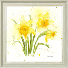 Load image into Gallery viewer, Daffodils