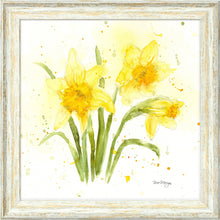 Load image into Gallery viewer, Daffodils