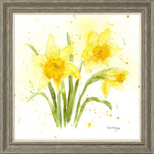 Load image into Gallery viewer, Daffodils