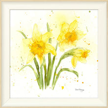 Load image into Gallery viewer, Daffodils