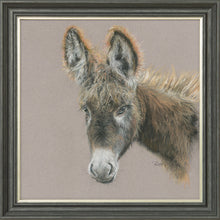 Load image into Gallery viewer, Dolores