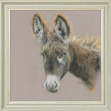 Load image into Gallery viewer, Dolores