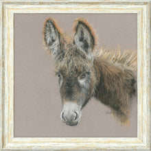 Load image into Gallery viewer, Dolores