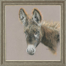 Load image into Gallery viewer, Dolores