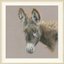 Load image into Gallery viewer, Dolores