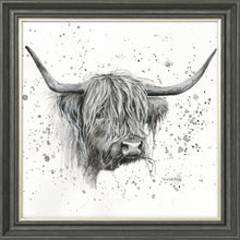 Load image into Gallery viewer, Donal