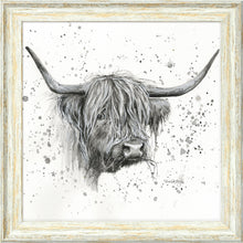 Load image into Gallery viewer, Donal