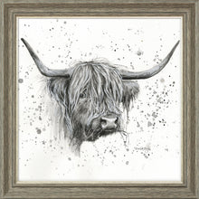 Load image into Gallery viewer, Donal