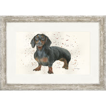 Load image into Gallery viewer, Dora