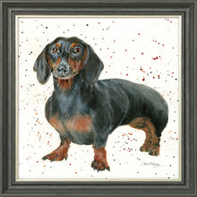 Load image into Gallery viewer, Dora