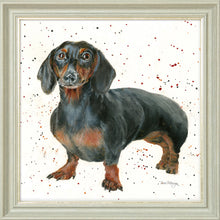 Load image into Gallery viewer, Dora