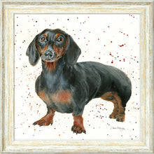 Load image into Gallery viewer, Dora