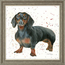 Load image into Gallery viewer, Dora