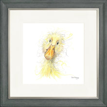 Load image into Gallery viewer, Downey