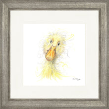 Load image into Gallery viewer, Downey