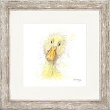 Load image into Gallery viewer, Downey