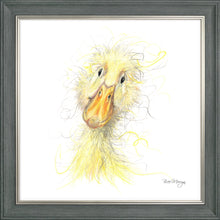 Load image into Gallery viewer, Downey