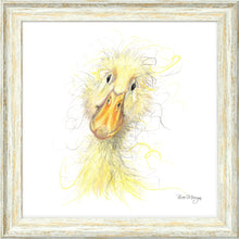 Load image into Gallery viewer, Downey