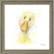 Load image into Gallery viewer, Downey