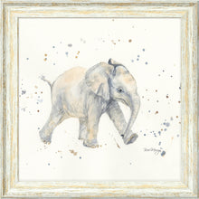 Load image into Gallery viewer, Eddie