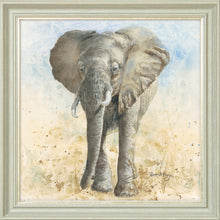 Load image into Gallery viewer, Edgar