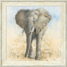 Load image into Gallery viewer, Edgar