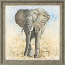 Load image into Gallery viewer, Edgar