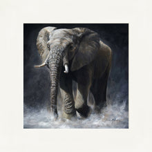 Load image into Gallery viewer, Ellie